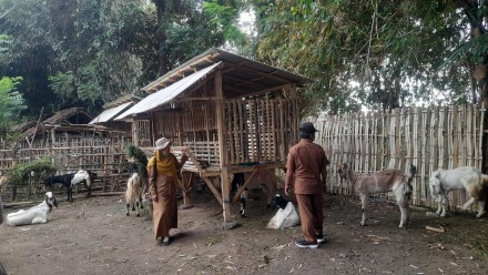 Album : Ketahanan Pangan